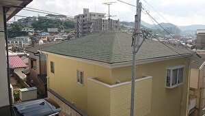 グラッシングル